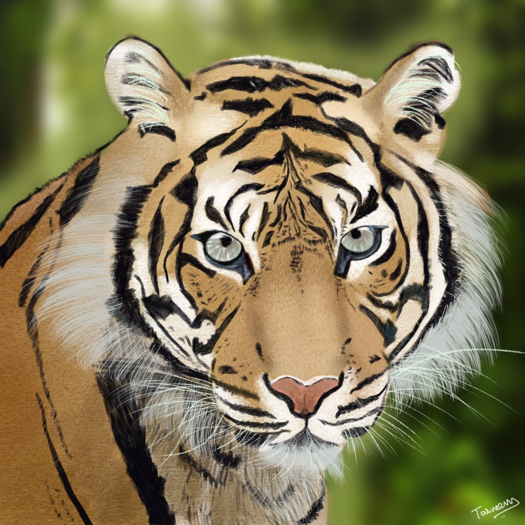 Tiger artwork